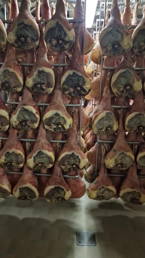 Albergo Ai Sapori San Daniele del Friuli Zewnętrze zdjęcie