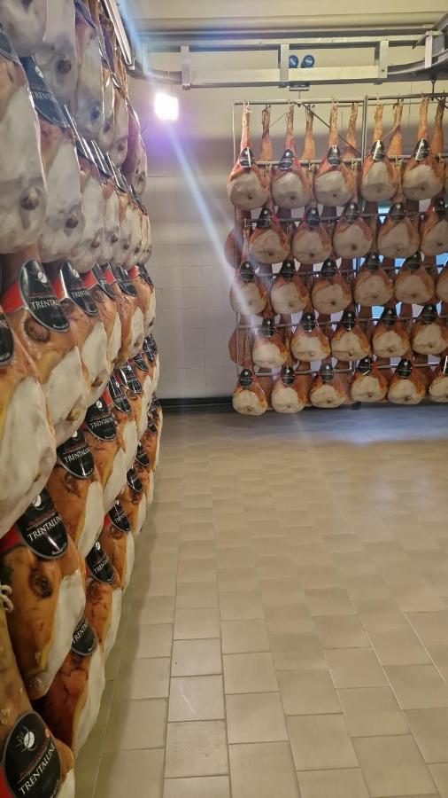 Albergo Ai Sapori San Daniele del Friuli Zewnętrze zdjęcie